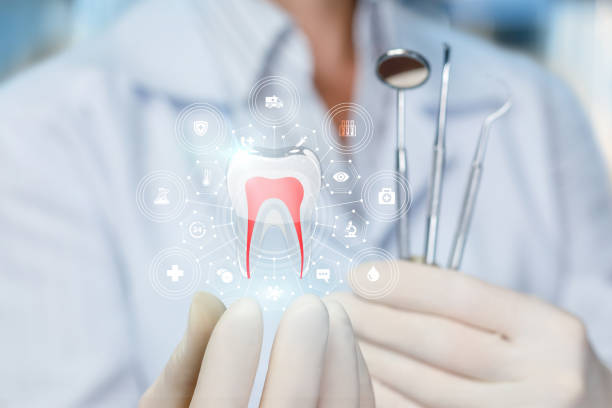 Reliable Bagley, MN  Holistic Dental Services Solutions